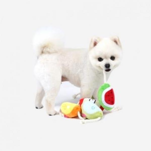 패리스독 슬라이스 과일토이 (랜덤발송) 애완용품 애완장난감 강아지장난감 강아지훈련용품 펫용품