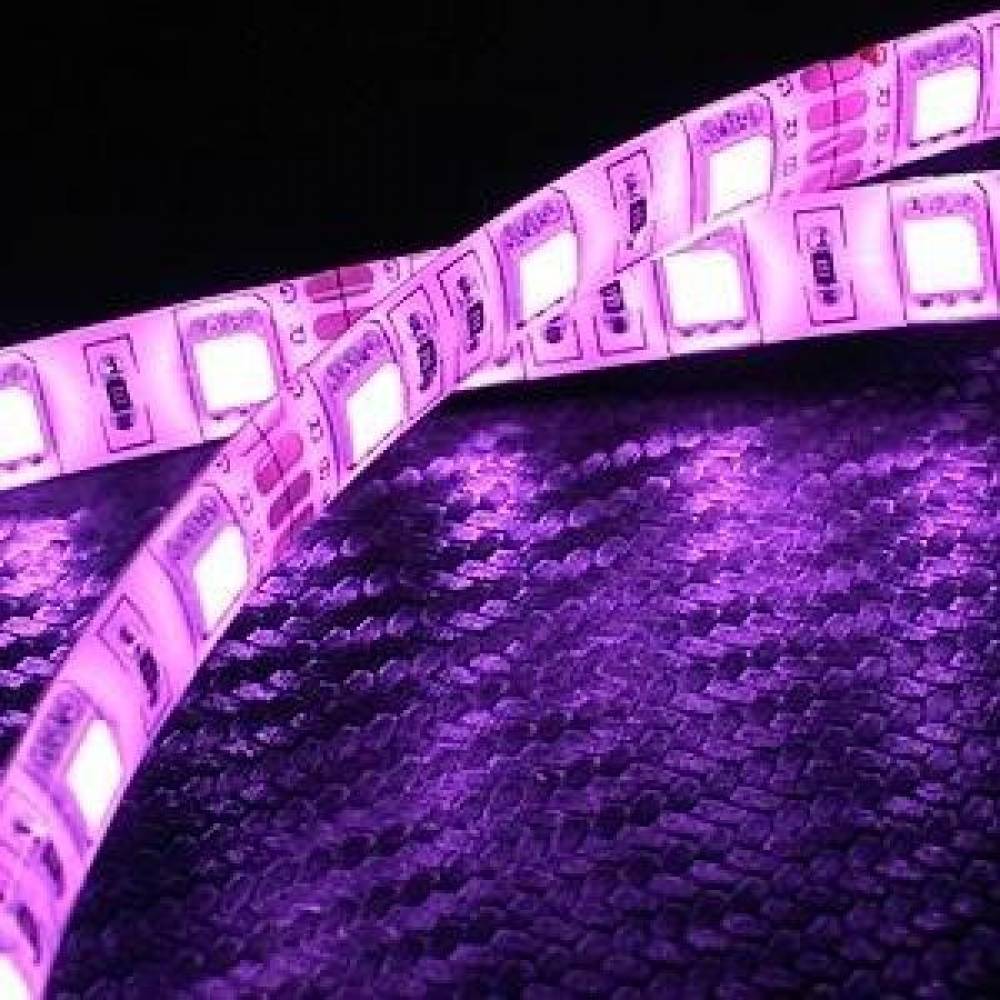5050 3칩 LED바램프 1롤(5미터) 검띠 핑크