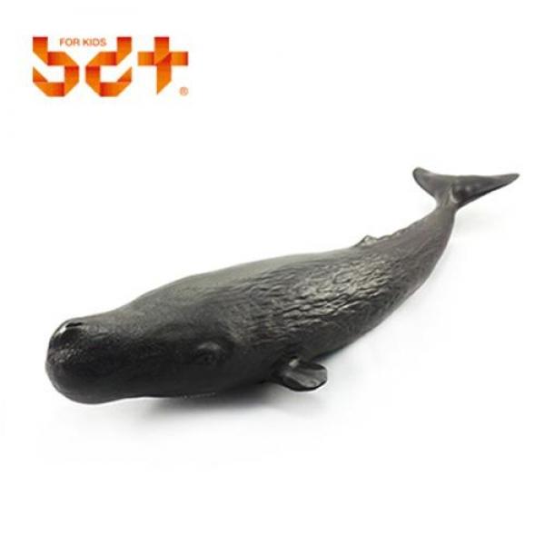 반디 소프트 향유고래(20890)