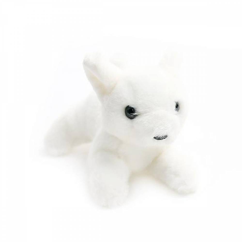 리틀 라잉 인형-(15cm) 옵션선택 토끼인형 강아지인형 퍼피 펫 키티 캣 인형 캐릭터인형 인형선물 애니멀인형