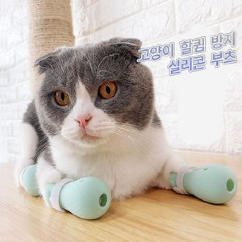 고양이 할큄 방지 실리콘 부츠 고양이할큄 애묘할큄 고양이할큄커버 고양이샤워커버 고양이부츠
