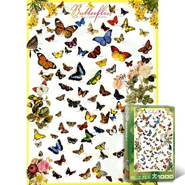 1000조각 직소퍼즐 - 오색의 나비들 (유액없음)(유로그래픽스) 직소퍼즐 퍼즐 퍼즐직소 일러스트퍼즐 취미퍼즐