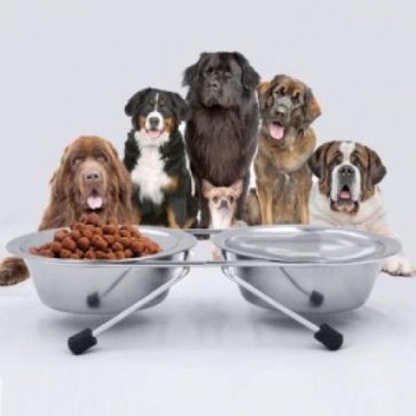 T-T-peT-트윈 스텐보울 테이블 4호 애완식기 강아지밥그릇 애견식기 애견밥그릇 스텐레스식기