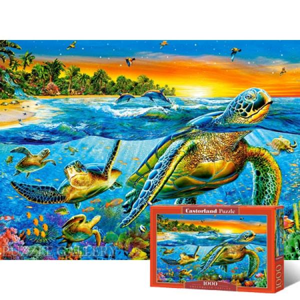 1000조각 직소퍼즐 - 바다 거북이들의 자유로운 일상 (유액없음)(캐스토랜드) 직소퍼즐 퍼즐 퍼즐직소 일러스트퍼즐 취미퍼즐