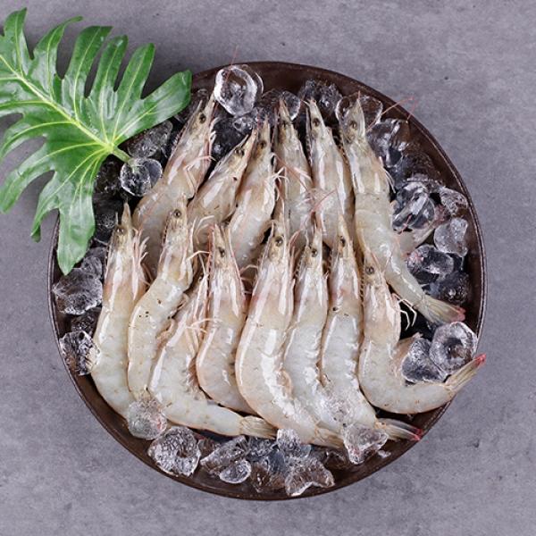 활새우 500g 양식 활새우 국내산새우 새우요리 해산물소량판매 1인식품