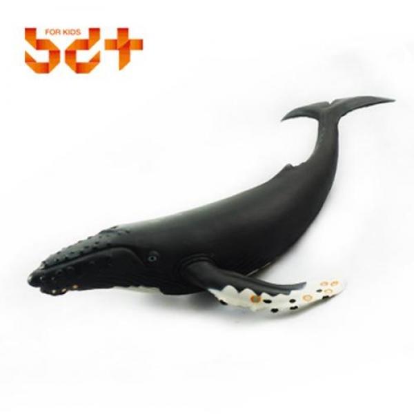 반디 소프트 혹등고래(20937)
