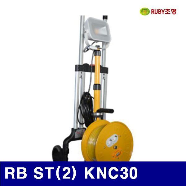 루비조명 1046610 LED투광기 (단종)RB ST(2) KNC30 400x1010-1700mm (1EA) 전기 조명 조명기구 랜턴 루비조명 공구