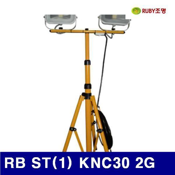 루비조명 1046577 LED투광기 (단종)RB ST(1) KNC30 2G (1EA) 전기 조명 조명기구 랜턴 루비조명 공구